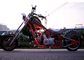 Spiderman Style 50cc Street Legal Motorcycle , Custom Harley Choppers 12V Battery 3L Tank