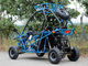 Horizontal Type Go Kart Buggy With 110cc Single Cylinder , 40 Km/H Max Speed