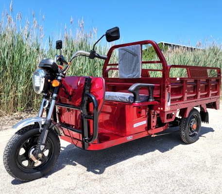 Elektrisch betriebener Fracht-LKW 1000 Watt motorisierter Rad-Fahrrad-Roller des Moped-3