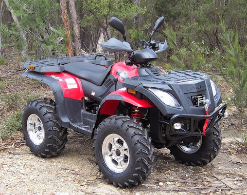 4x4 wassergekühlte Gebrauchsfahrzeuge ATV 400cc mit Themo-Fan