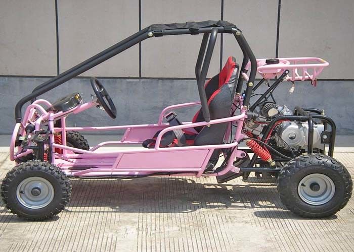 110cc scherzt Sitzhinterradgepäckträger Off Road-Gokart-zwei mit CVT-Getriebe/-rückseite