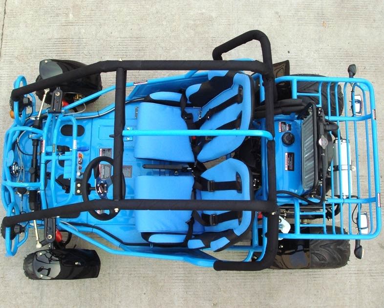 verwanztes Doppeltes des Gokart-250cc ein Arm/sondern A aus - bewaffnen Sie mit CVT-Rückseite/Straßen-Reifen