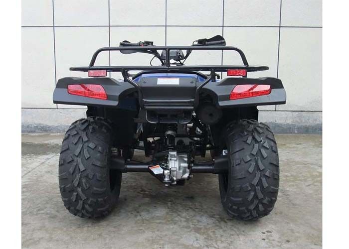 Schnelle Geschwindigkeits-Sport-vierrädrige Droschken 300cc, Anschlag der vierrädrigen Droschken 4 mit COLUMBIUM Maschine CVT laufend