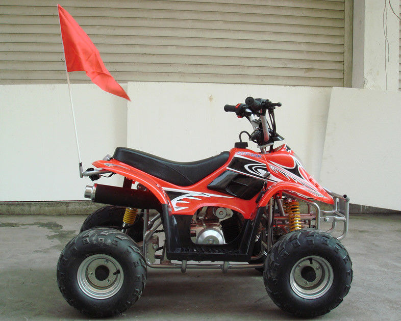 Kleine 4 x 4 Gebrauchs-Atv 70cc 90cc 110cc, Kindervierrädrige droschken mit dem zwei Rad-Antrieb