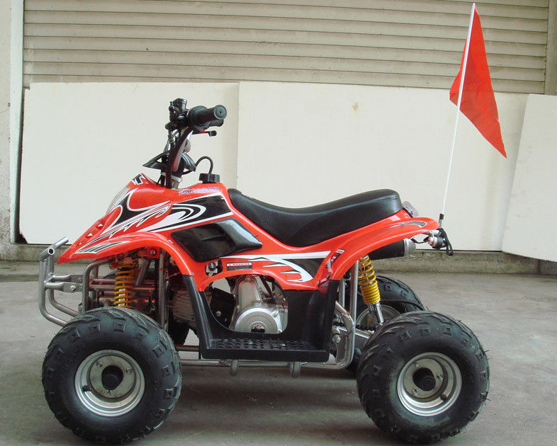 Kleine 4 x 4 Gebrauchs-Atv 70cc 90cc 110cc, Kindervierrädrige droschken mit dem zwei Rad-Antrieb