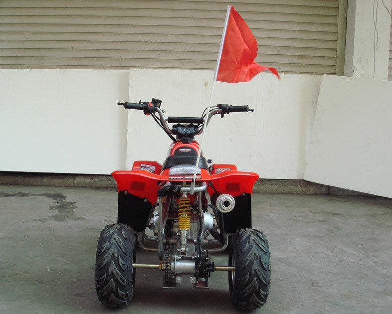 Kleine 4 x 4 Gebrauchs-Atv 70cc 90cc 110cc, Kindervierrädrige droschken mit dem zwei Rad-Antrieb