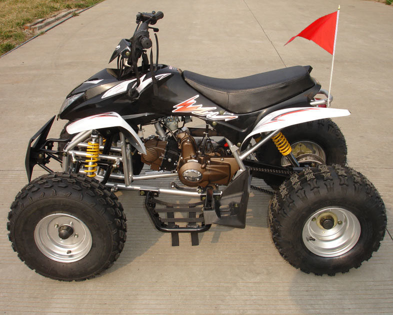 Mittlere Größe vier Räder ATV 110cc voll automatisch mit rückseitiger vorderer doppelter Trommelbremse