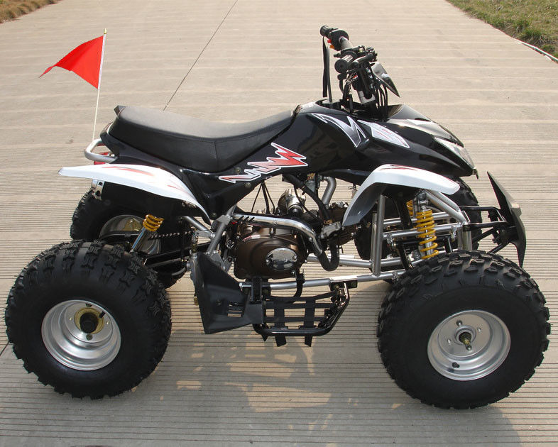Mittlere Größe vier Räder ATV 110cc voll automatisch mit rückseitiger vorderer doppelter Trommelbremse
