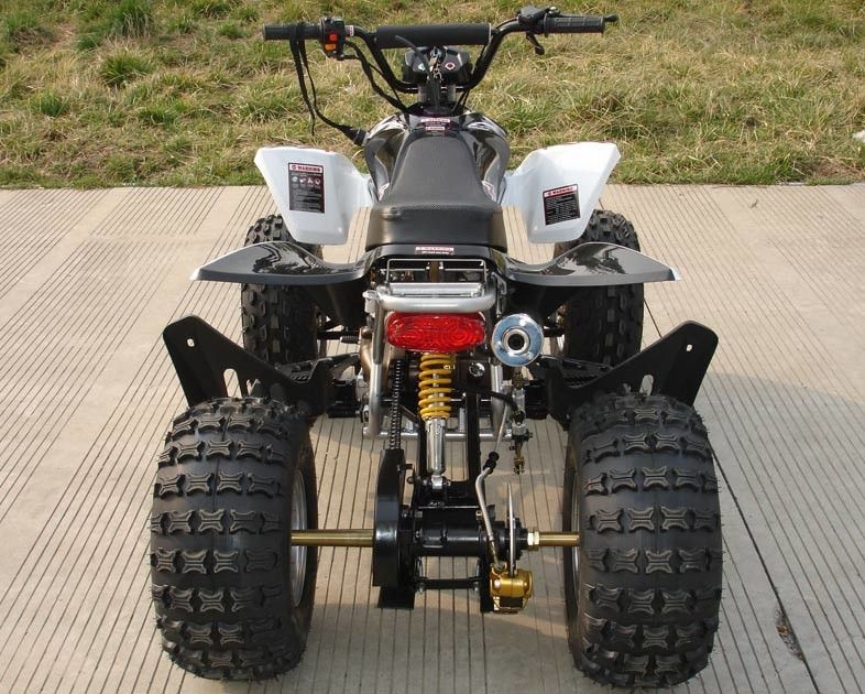 Mittlere Größe vier Räder ATV 110cc voll automatisch mit rückseitiger vorderer doppelter Trommelbremse