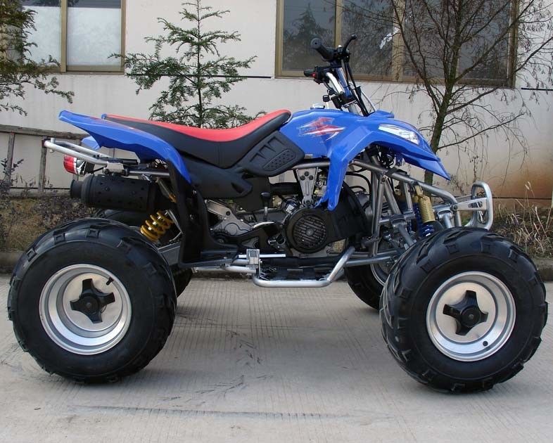 Extra große 10