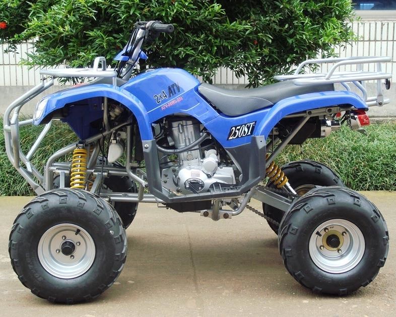 Vorderes Doppeltes A - bewaffnen Sie Gebrauchsfahrzeuge ATV 250cc mit 8