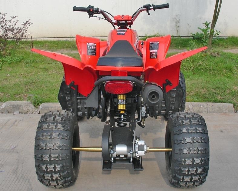 Rote 250CC Gebrauchsfahrzeuge ATV 8