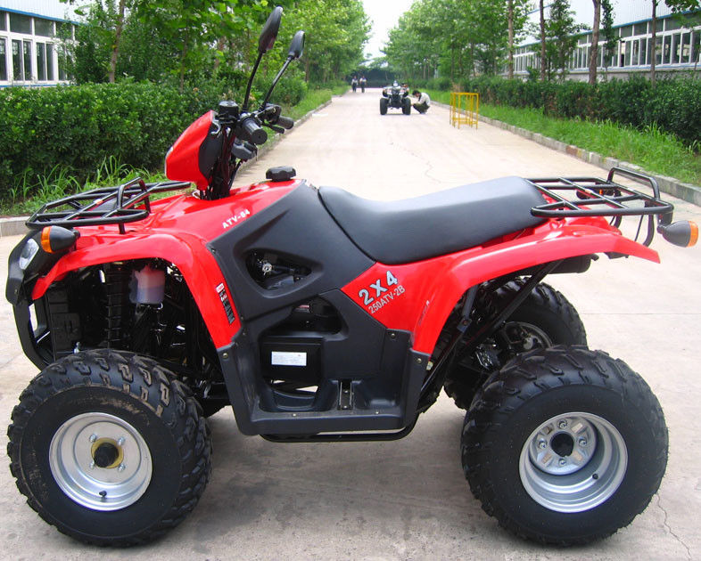 Ölen Sie abgekühlte Jugend laufendes Atv 260cc mit großem Rückgang/Innere-Getriebe