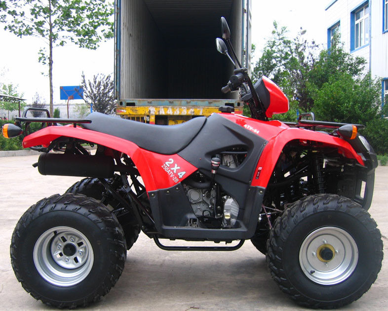 Ölen Sie abgekühlte Jugend laufendes Atv 260cc mit großem Rückgang/Innere-Getriebe