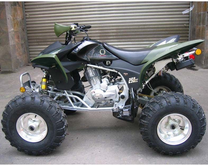 Große Extrajugend, die Viererkabel-Fahrrad CDI Atv 250cc Atv Handbuch-Kupplung elektrische Anfangsläuft