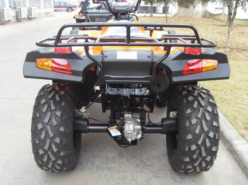 300CC Gebrauchsfahrzeug Atv 40.3mile/H mit 2 Sitzen, doppelter Ein-Arm/einzelner Ein-Arm