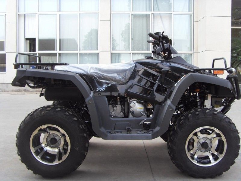 300CC Gebrauchsfahrzeug Atv 40.3mile/H mit 2 Sitzen, doppelter Ein-Arm/einzelner Ein-Arm