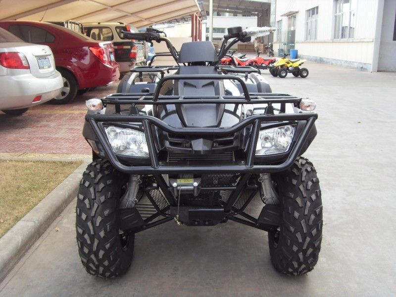 300CC Gebrauchsfahrzeug Atv 40.3mile/H mit 2 Sitzen, doppelter Ein-Arm/einzelner Ein-Arm
