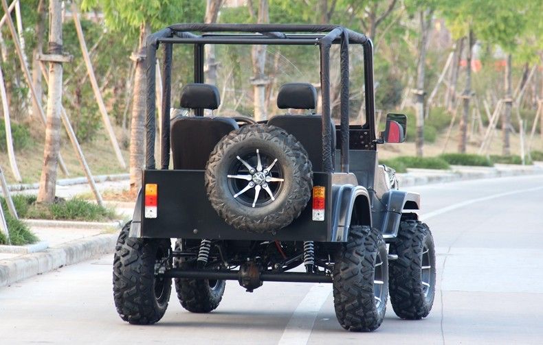 Minijeep 4WD, der ATV-Sport-Gokart-Buggy für Erwachsenen, Gokart 300cc läuft
