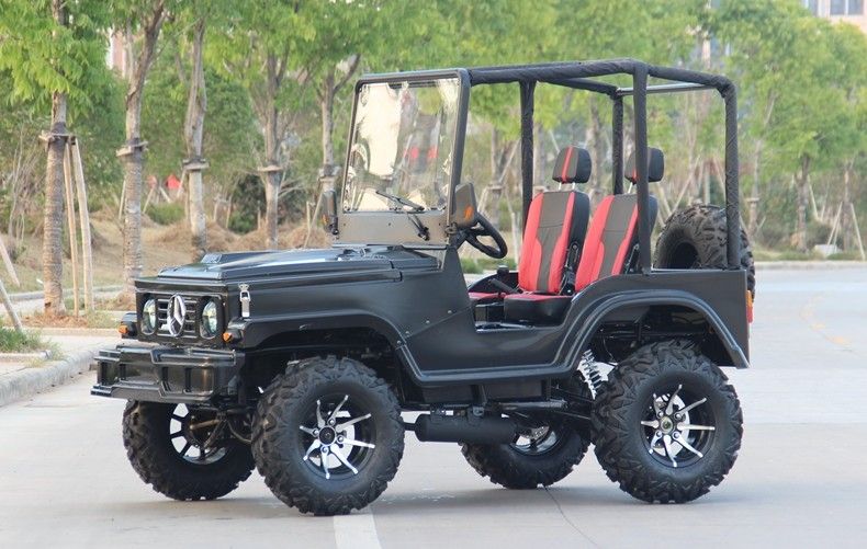 Minijeep 4WD, der ATV-Sport-Gokart-Buggy für Erwachsenen, Gokart 300cc läuft