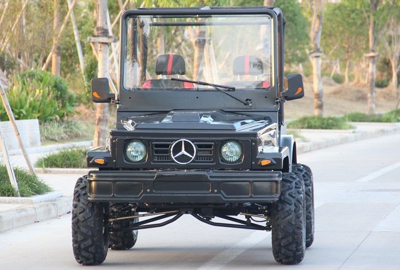 Minijeep 4WD, der ATV-Sport-Gokart-Buggy für Erwachsenen, Gokart 300cc läuft