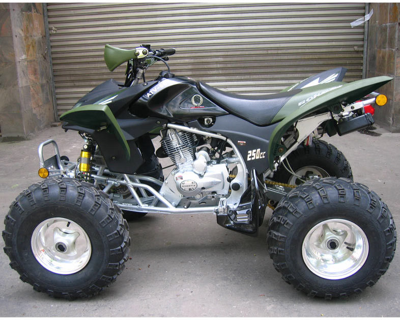 Bauernhof- und Waldweg 250cc Jugend laufendes ATV, Höchstgeschwindigkeit 46.6mile/h