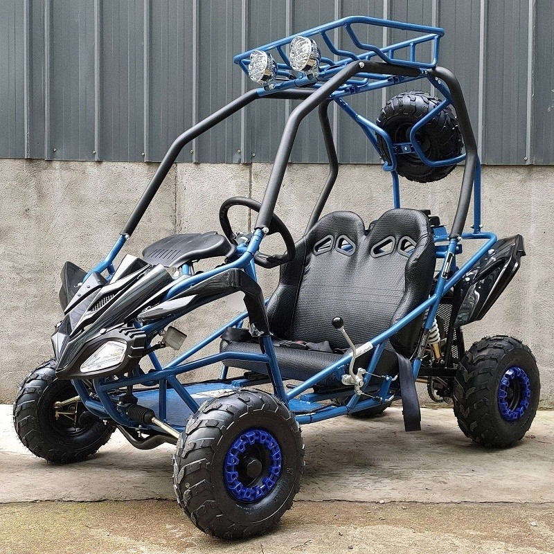 Go Kart Buggy Kids Go Kart Typ-GTS automatisch W/ rückwärts, Ersatzrad