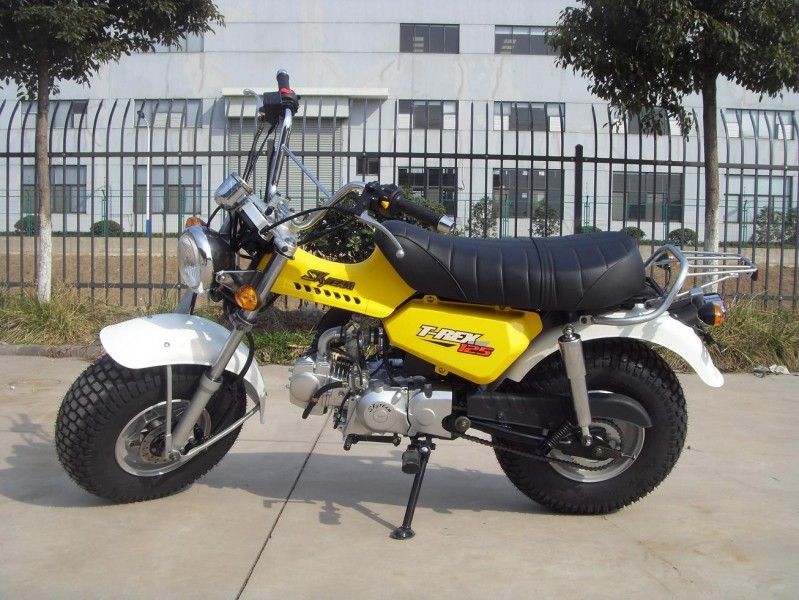 Skyteam T - Minifahrrad 125cc, 2 Menschen Rex 125 Motorrad mit dem 4 Geschwindigkeits-Gang