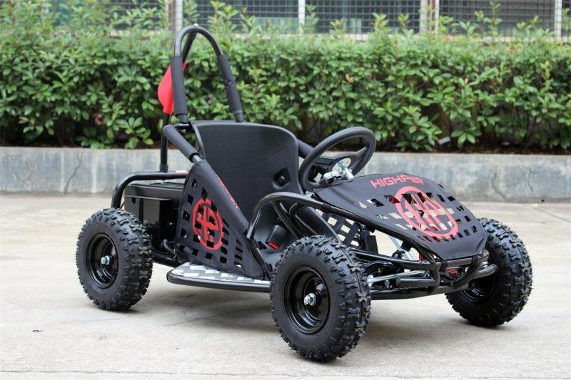 scherzt Zweipersonenbuggy des Gokart-35km/H, 1000w genehmigten Off Road-Gokart EPA