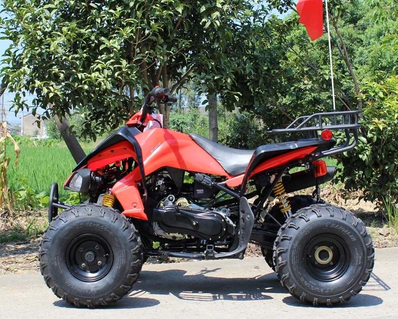 wassergekühlte Jugend 13.9HP, die Geschäftemacher ATV 200cc 4 mit hinterer Scheibenbremse läuft