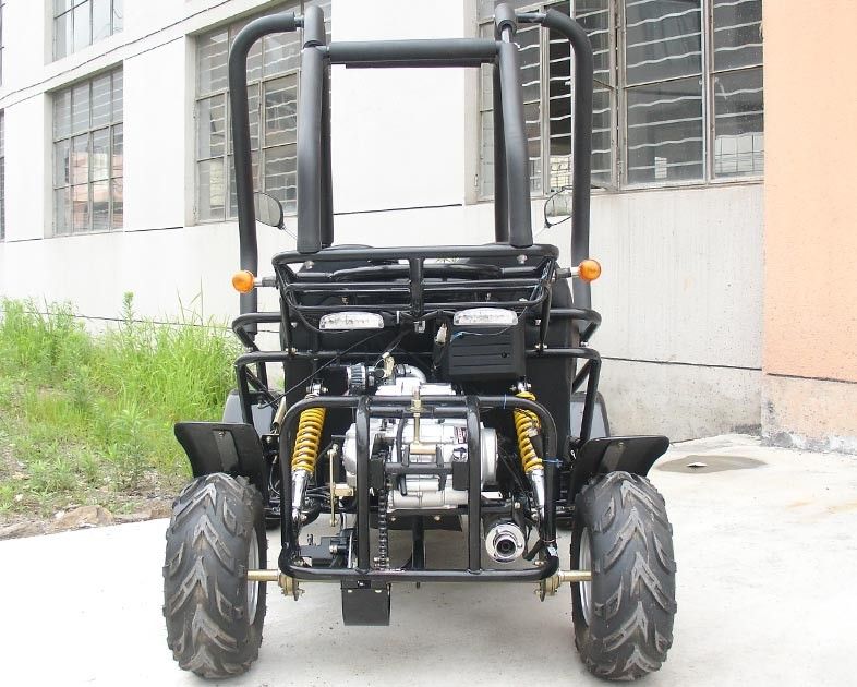 Kleiner 3 Gokart-verwanzter Zweisitzer Atv der Geschwindigkeits-110cc mit Anfang CDI Electirc