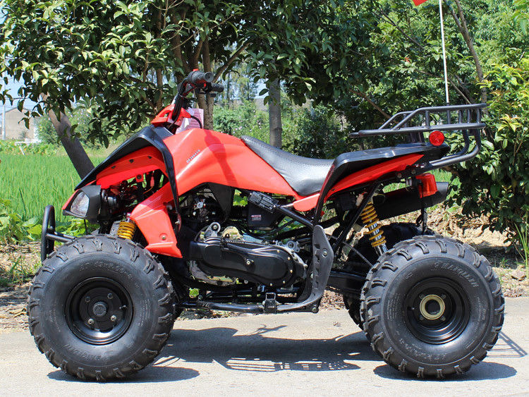 200cc Vierrad-ATV, 8