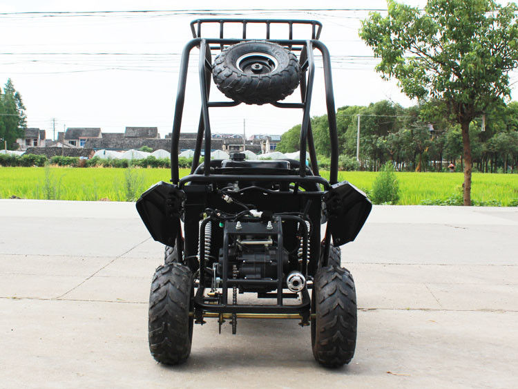 Gokart 4 Storke 154FMI des Sitzer-125cc einzylindriger 2 mit Behälter 3L