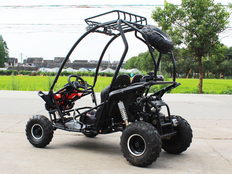 Gokart 4 Storke 154FMI des Sitzer-125cc einzylindriger 2 mit Behälter 3L
