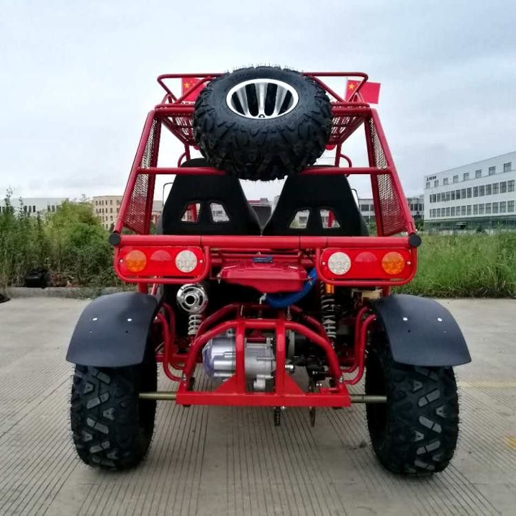 verwanztes wassergekühltes des großen Gokart-250cc mit der 4 Rad-Einzelradaufhängung