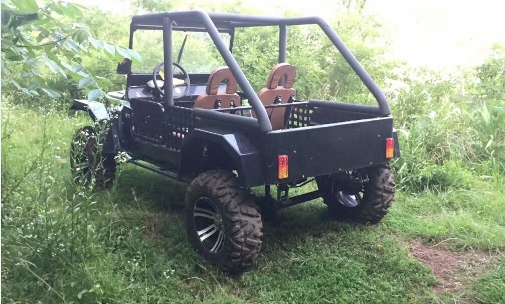 Wassergekühlter Gokart verwanztes 300cc 3,0 x 140 x 170cm mit Hinterachsdifferenzial