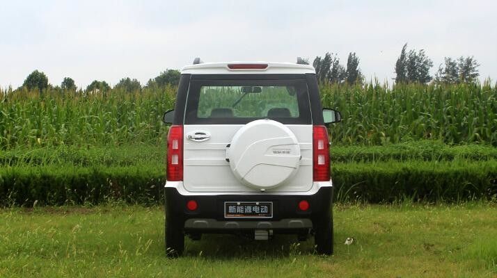 Vier Rad-elektrische Golfmobil-Minigröße 1500w mit über 500km Strecke