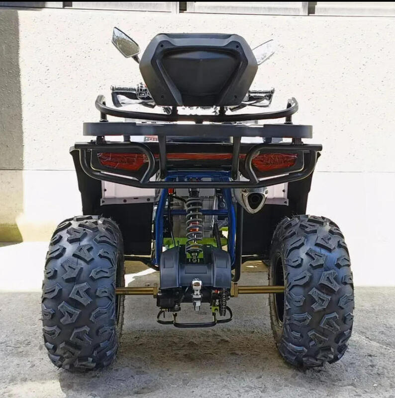 Heiß verkaufendes ATV 200cc 300cc Quad Bike beliebter chinesischer Motor Räder Bremse Automatikgetriebe