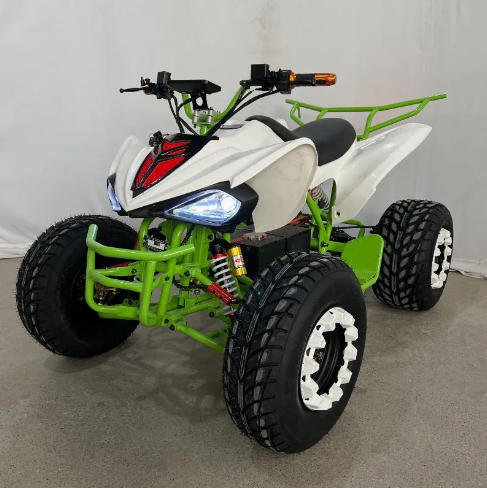 72V 2000W Elektrisches ATV, Chinesische Marke, 10