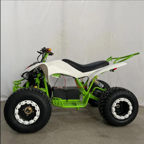 72V 2000W Elektrisches ATV, Chinesische Marke, 10