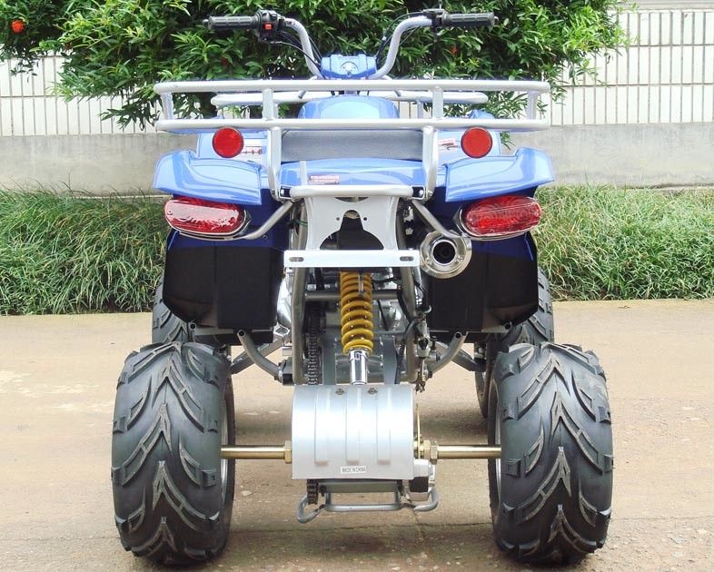 200c große Jugend laufendes ATV 10