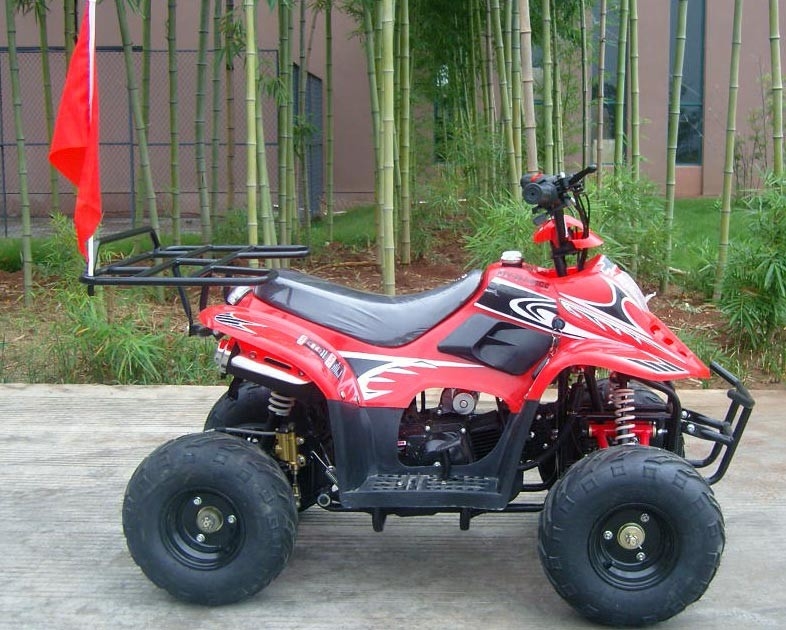 Vordere doppelte des Schwingarm-70cc ATV maximale Laden-Hochleistung Viererkabel-des Fahrrad-80KG