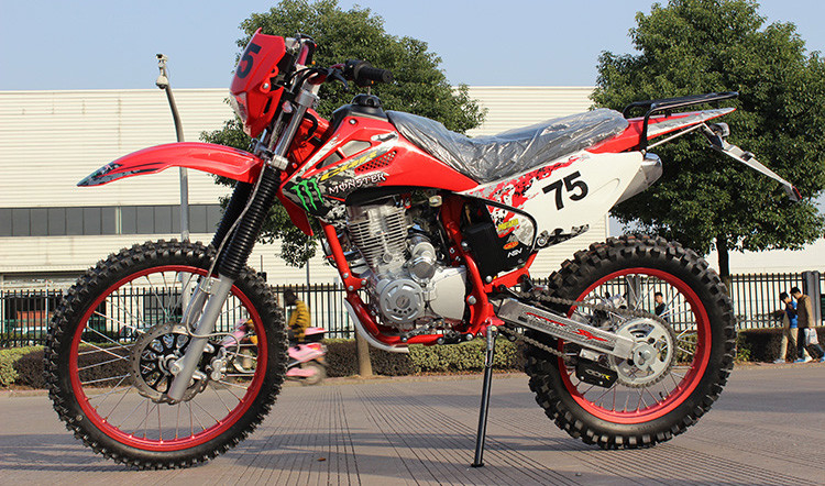 Gasbetriebener Schmutz CDI Lgnition fährt 150cc Miniart 150KG-Ladegewicht rad