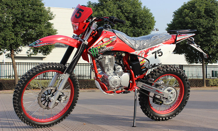 Gasbetriebener Schmutz CDI Lgnition fährt 150cc Miniart 150KG-Ladegewicht rad