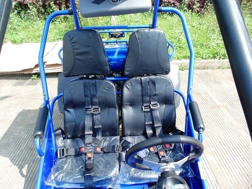 2,25 Gallone HP CDI-Zündung 17,4 300cc CVT EFI Go Kart Buggy