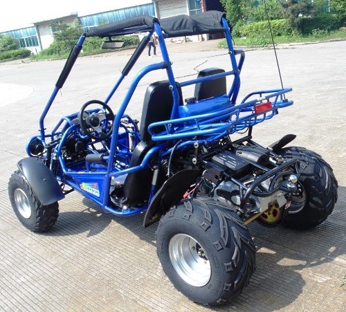 2,25 Gallone HP CDI-Zündung 17,4 300cc CVT EFI Go Kart Buggy