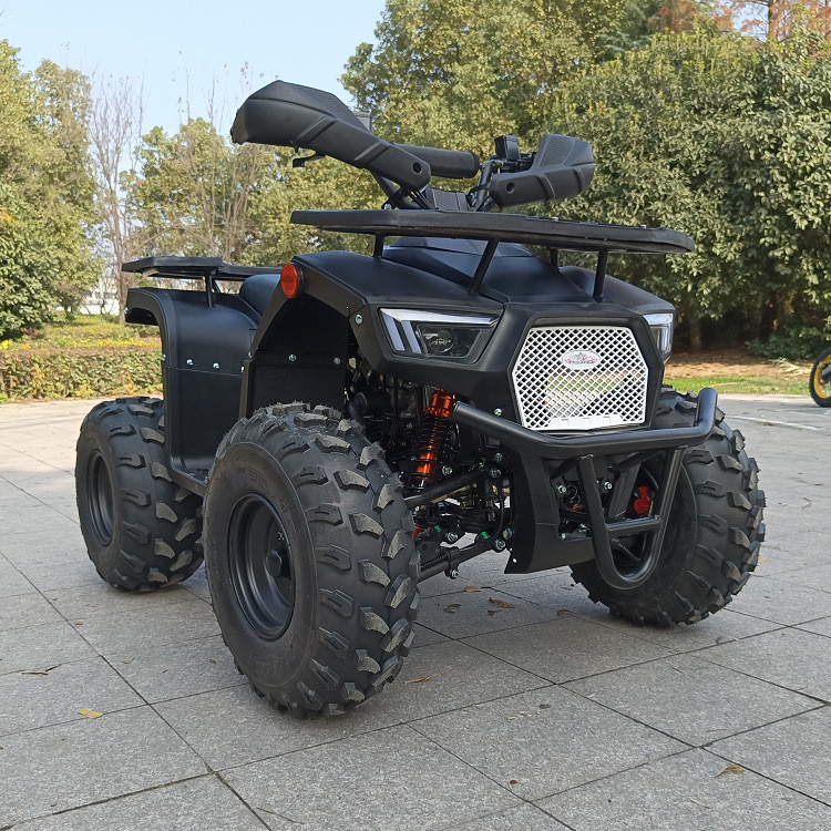 Vierrad-Atv vier Schlagmann einzylindriger Max Horsepower 8.0kw 9500r/Min 125cc