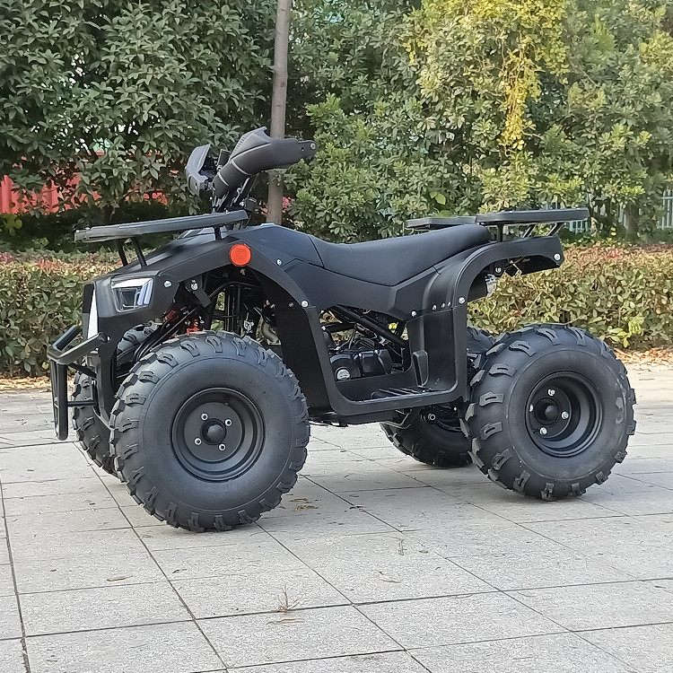 Vierrad-Atv vier Schlagmann einzylindriger Max Horsepower 8.0kw 9500r/Min 125cc