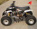 Mid Size Four Wheel ATV 110cc Fully Automatic With Reverse Front Double Drum Brake