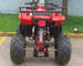 4 Stroke 200CC Atv All Terrain Vehicle Water Cooled Single Cylinder
